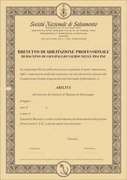 Brevetto Piscina